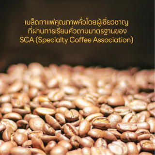 เมล็ดกาแฟ คั่วอ่อน-กลาง " แต่งกลิ่น " โยเกิร์ต 150กรัม 250กรัม 500กรัม (( Kate & Kim )) Yoghut Coffee Bean