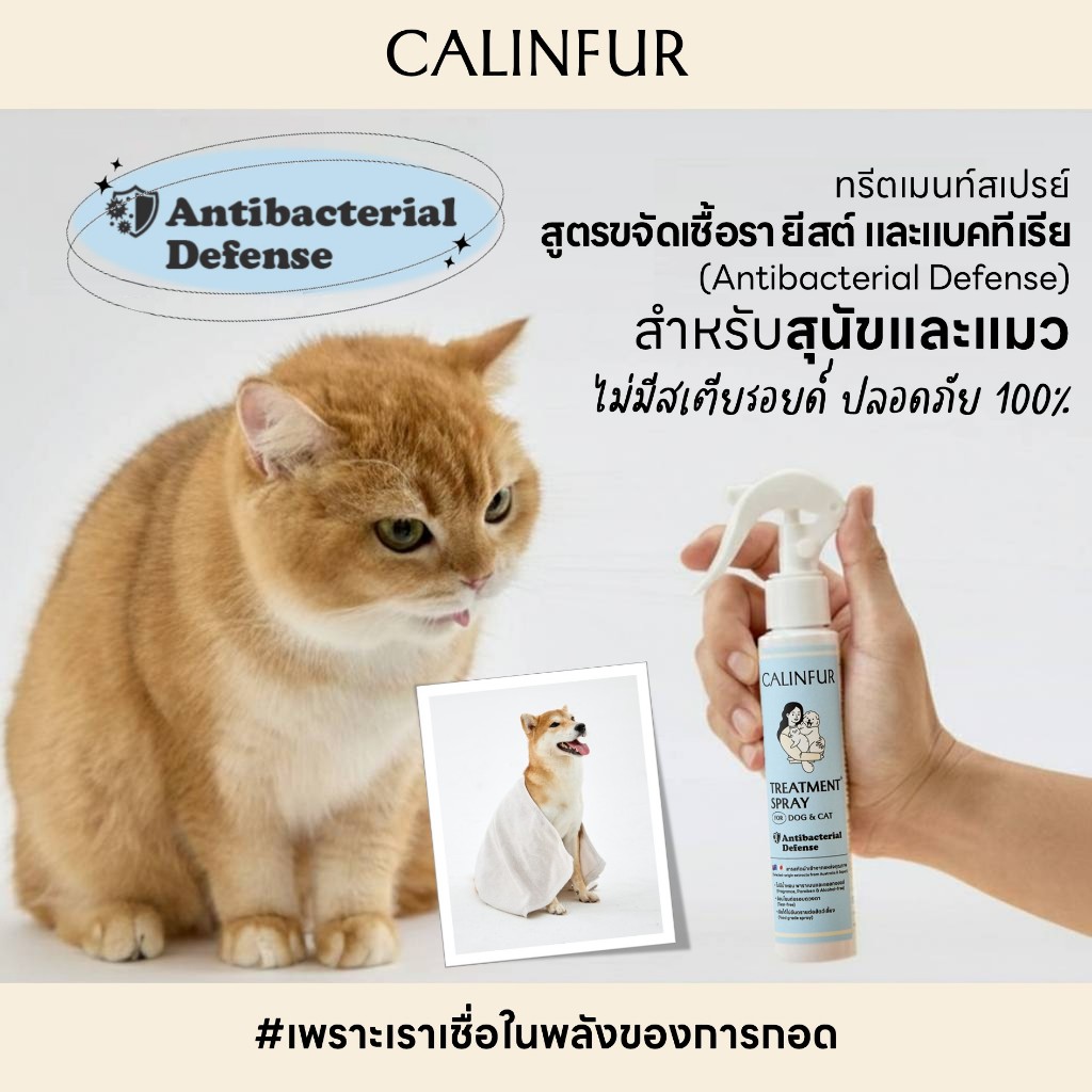 สเปรย์ยับยั้งเชื้อรา ยีสต์ และแบคทีเรีย ใช้ได้ทั้งสุนัขและแมว คาลินเฟอร์ Calinfur ผิวแพ้ง่ายใช้ได้