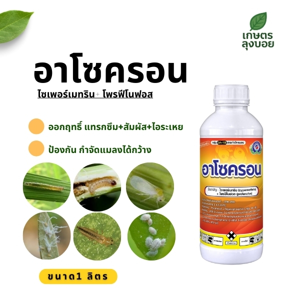 อาโซครอน ป้องกันกำจัดอมลง ออกฤทธิ์ 3 หนอน เพลี้ย ผีเสื้อ ด้วง