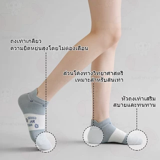 ถุงเท้าแฟชั่นข้อสั้นยกเซท10 ลาย ถุงเท้าลายการ์ตูน 1แพค10คู่