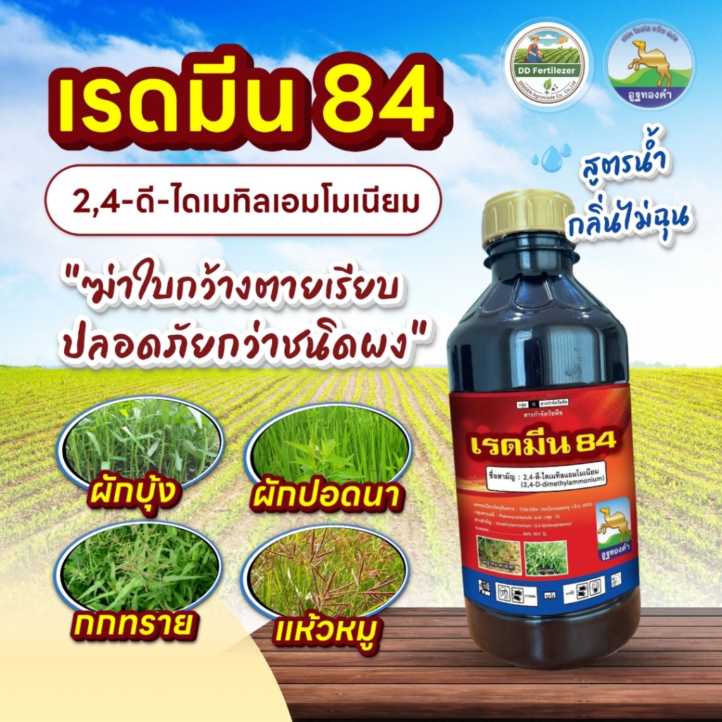 เรดมีน 84  ขนาด 1ลิตร ทูโฟดี 2,4-ดี กำจัดวัชพืช นาข้าว ไร่อ้อย ไร่ข้าวโพด ใบกว้างเถาเครือ กก แห้วหมู