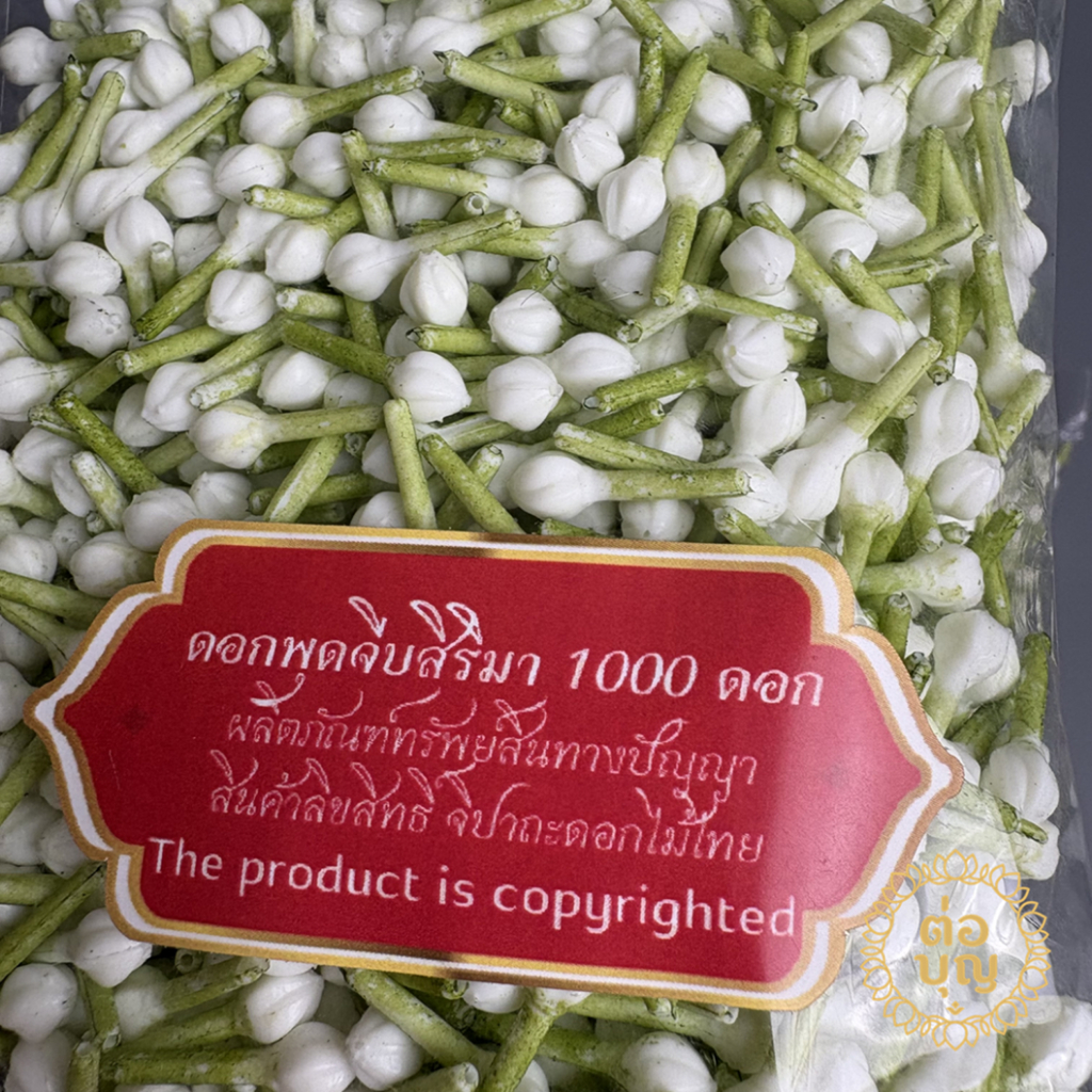 ดอกพุดสิริมา ดอกพุดจีบสิริมา จำนวน 250, 500, 1000ดอก ใช้ร้อยตาข่าย งานสวย รูปที่ 2