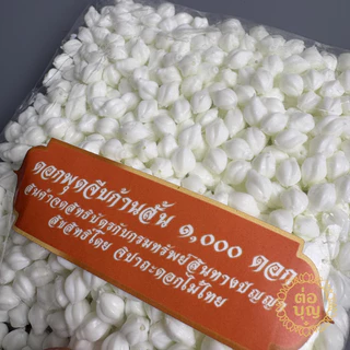 ดอกพุดจีบก้านสั้น พลาสติก 13มิล หัวดอกพุด 500/1000 ดอก ทำอุบะ พวงมาลัย พานขันหมาก พร้อมส่ง