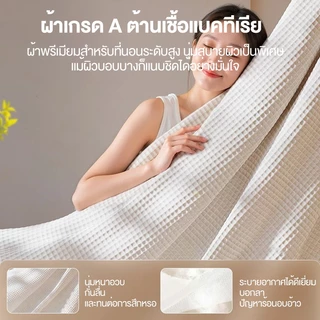 Mattress ที่นอนยางพาราแท้ 100% ที่นอนยางพาราแน่น Hybrid ช่วยลดอาการปวดหลังได้ดี ลดแรงกดทับ สัมผัสนุ่มแน่น