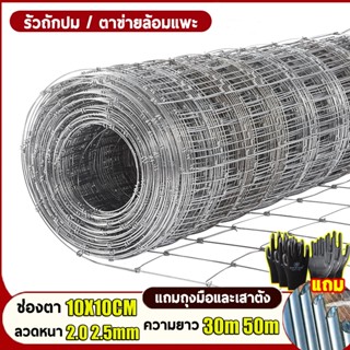 ตาข่ายแรงดึง รั้วถักปม/รั้วตาข่าย (ยาว30m/50m ) รั้วล้อมสวน …