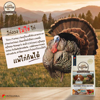 Prowild โปรไวลด์ ออริจิน อีสเทิร์น ไวลด์ สูตรไก่งวง อาหารลูกสุนัขและแม่สุนัข หรือสุนัขทุกช่วงวัย/ทุกสายพันธุ์ 3 kg