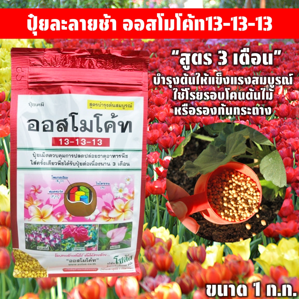ออสโมโค้ท13-13-13 (ปุ๋ยละลายช้า) ขนาด 1 ก.ก. สูตรเสมอ บำรุงต้น ต้นสมบูรณ์ ใบสวยงาม