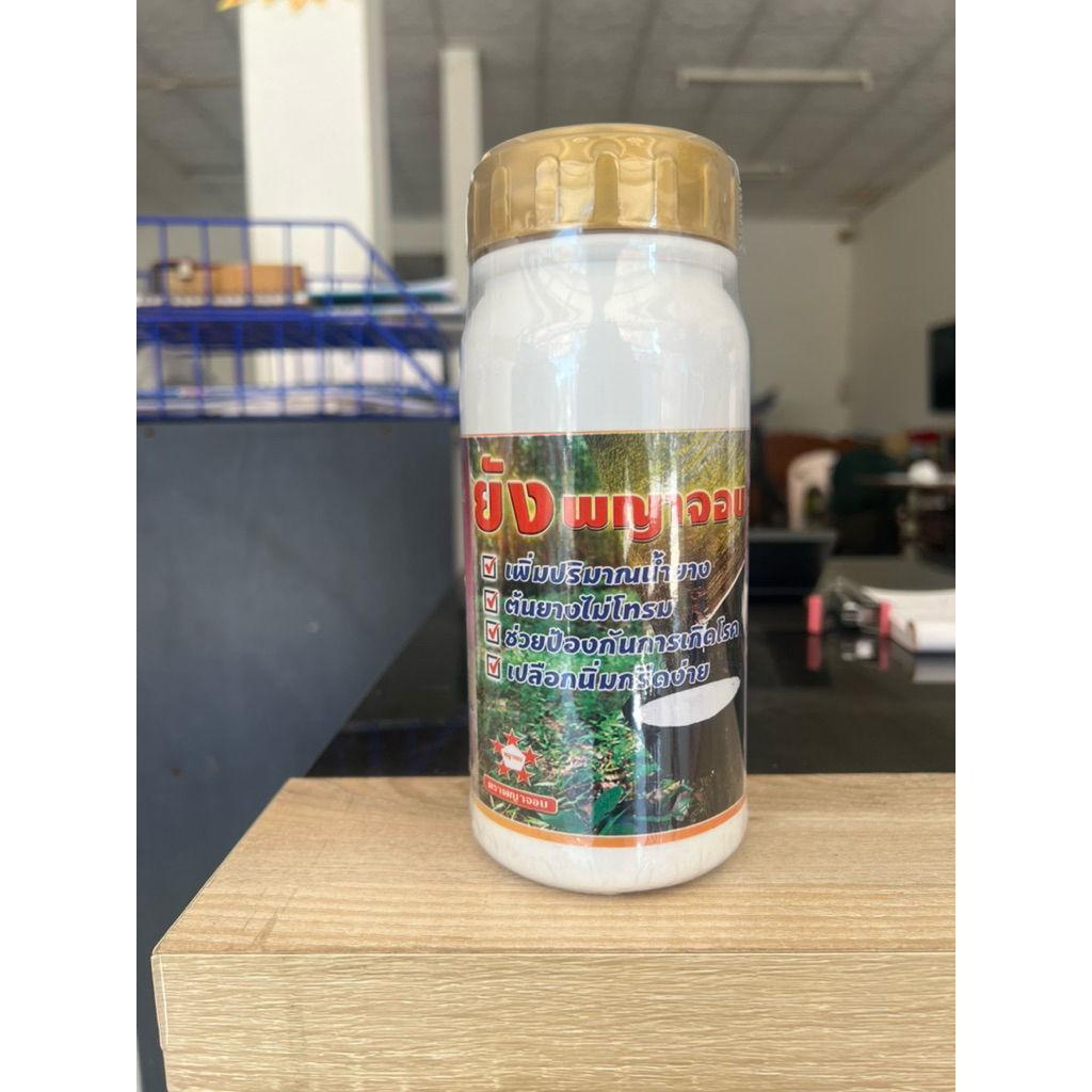ยัง พญาจอบ ใช้สำหรับทาต้นยางพารา ป้องกันการเกิดโรคเชื้อรา(ขนาด500ml)
