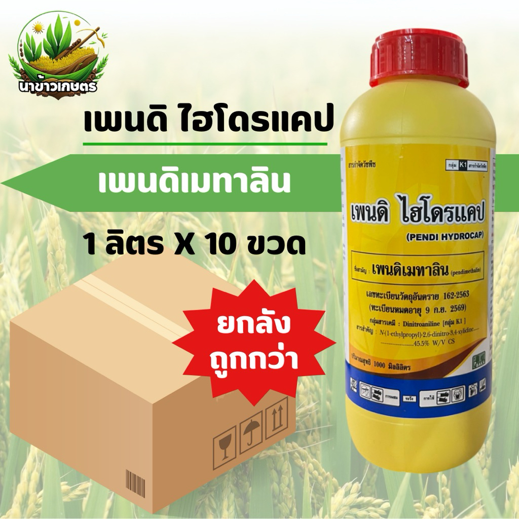 ยกลัง เพนดิไฮโดรแคป เพนดิเมทาลิน 1ลิตรx10ขวด ยาเหลือง คุมแห้งในนาข้าวและพืชไร่