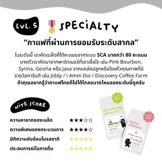กาแฟหวาน MaeMon Yellow Bourbon Slow Dry เมล็ดกาแฟคั่ว Single Origin ดอยแม่มอญ จ.เชียงราย by Nite Coffee