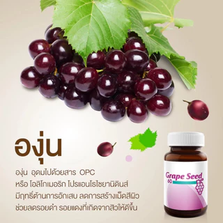 วิสทร้า เกรพ ซีด 30เม็ด [ Vistra Grape Seed 60 ] สารสกัดจากเมล็ดองุ่น