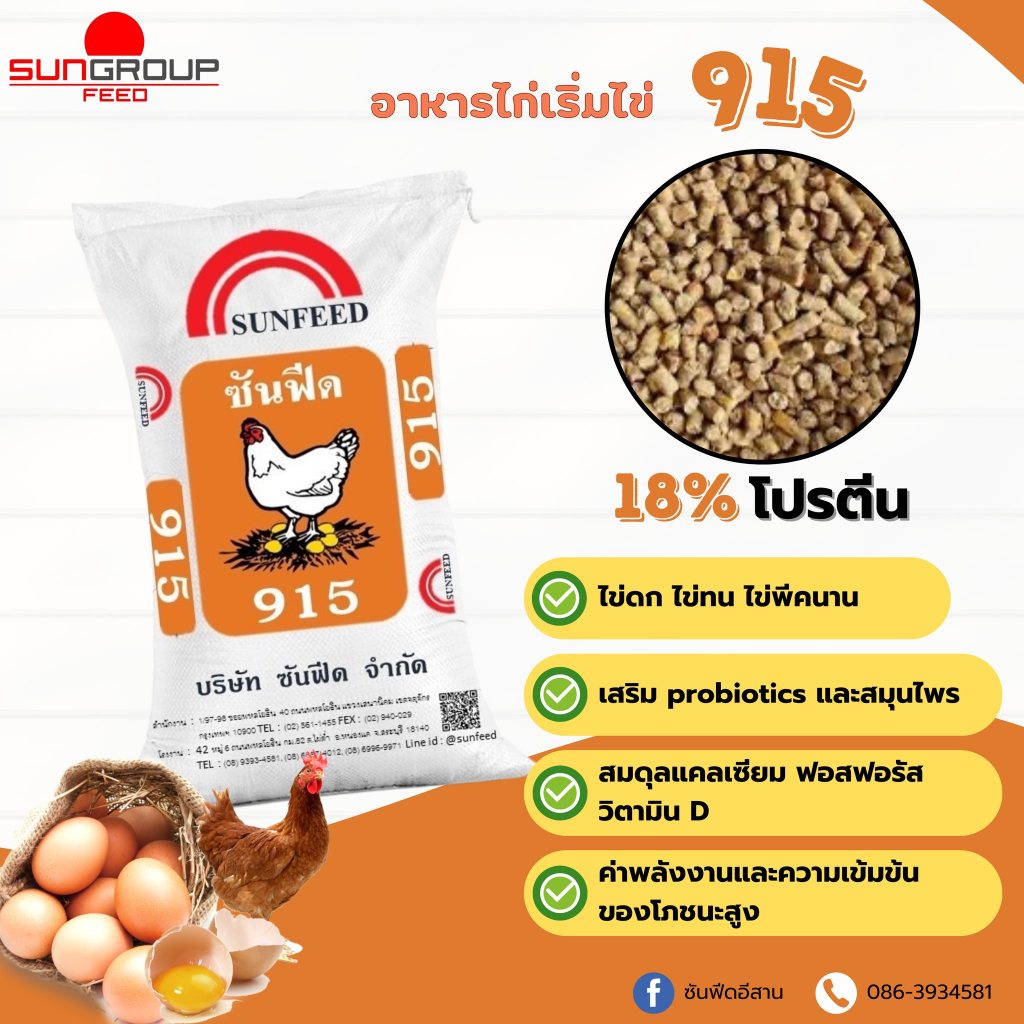 อาหารไก่ไข่ซันฟีด 915 เม็ด โปรตีน18% ไข่ดก ไข่แดงสีเข้มสวย ไก่แข็งแรง สุขภาพดี ให้ไข่สม่ำเสมอ ขนาด 30 กก.