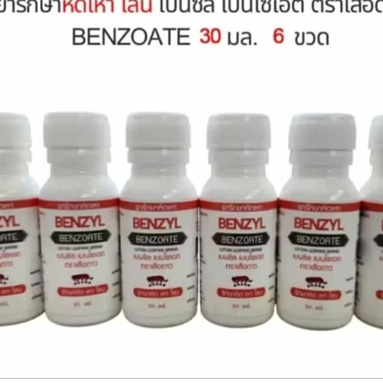 6 ขวด โลชั่น ทา หิด เหา โลน ตรา เสือดาว Leoprad brand Lice louse scabies crab lice remove 30ml lotio