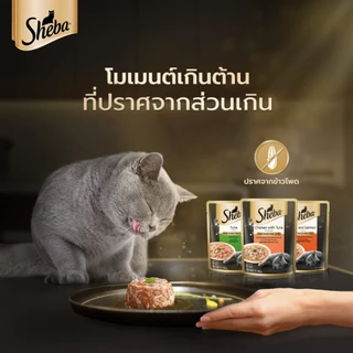[ยกกล่อง x12] Sheba ชีบา อาหารเปียกแมว เกรดพรีเมี่ยม ขนาด 70 กรัม
