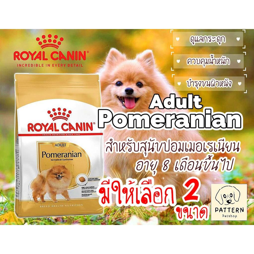 Royal Canin Pomeranian Adult (500 กรัม และ 3 กก.)สำหรับสุนัขโตพันธุ์ปอมเมอเรเนียนอายุ 8 เดือนขึ้นไป หมดอายุปี 2027