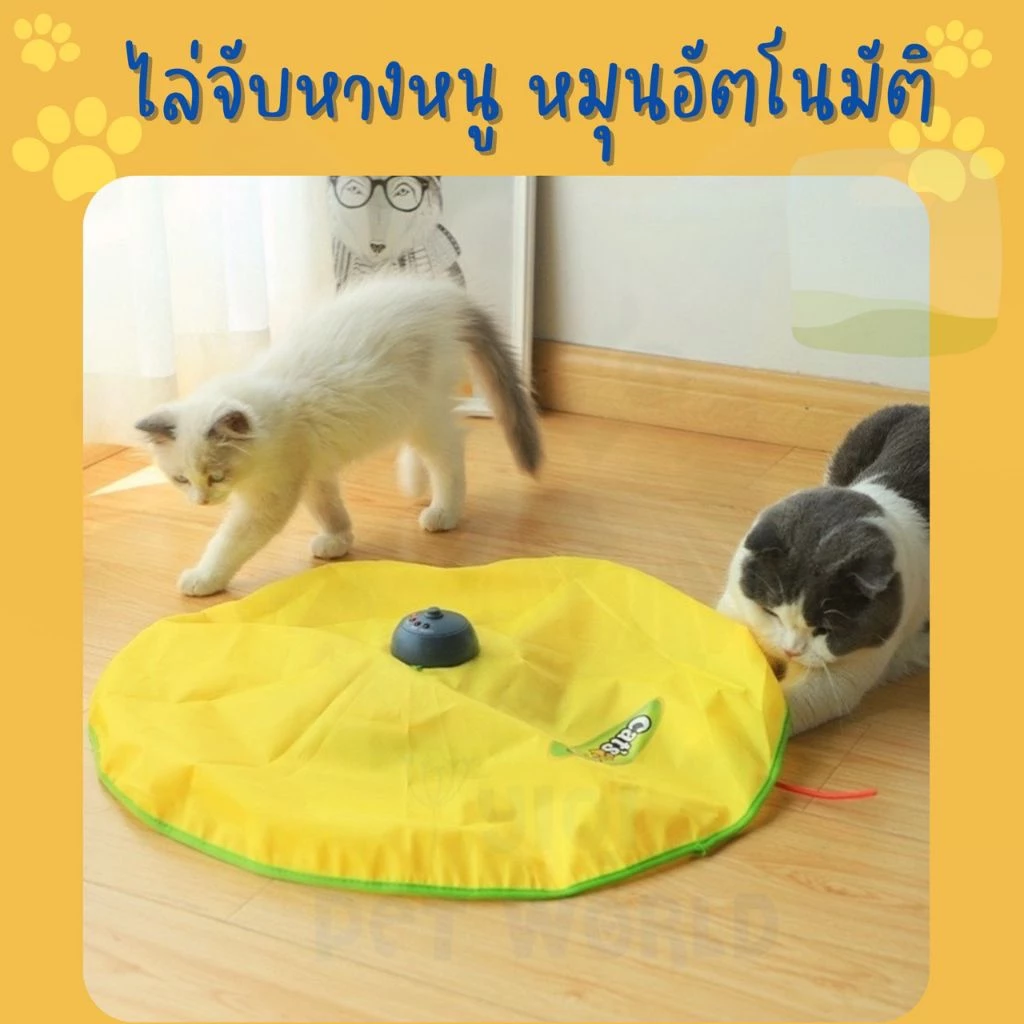 🔥(ส่งด่วน/ส่งไว) ของเล่นแมว ไล่จับหางหนู หมุนอัตโนมัติ สัตว์เลี้ยง หนูบังคับ หนูไฟฟ้า (Y036)