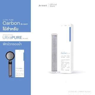 SET CARBON MICRO FILTER X2 [FOR ULTRA PURE SHOWER]