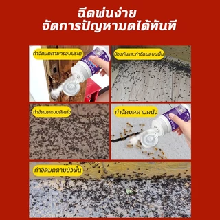 🐜ป้องกันมดได้ตลอดทั้งปี🐜ผงกำจัดมด ยาฆ่ามด เหยื่อมด เหยื่อกำจัดมด 100g ปลอดภัยต่อคน แบบผง ใช้ง่ายสะดวก กำจัดมด ยกรั