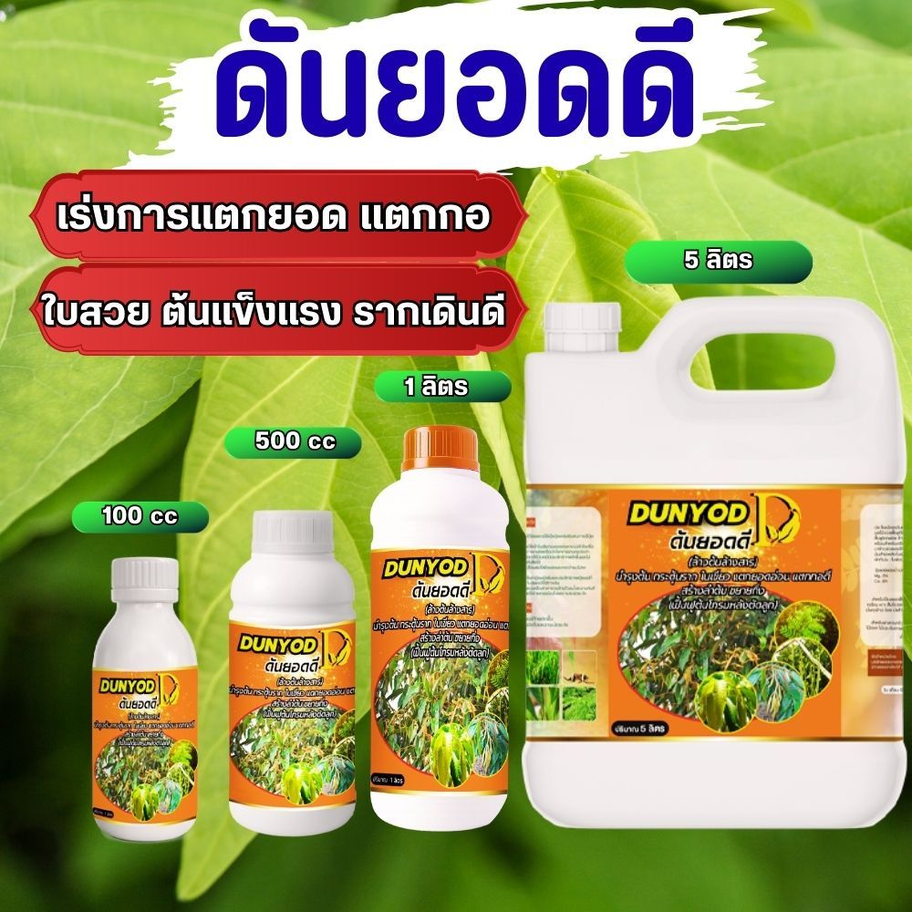 เร่งการแตกยอด เร่งการแตกราก แตกกอดี ใบสวยต้นแข็งแรง จบปํญหาต้นโตช้า ใบไม่สวย ด้วยสูตรดันยอดดี