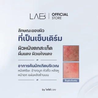 [Official] LAB1 แล็บวัน แอนไทเซ็บ อโลเวร่าครีม LAB1 ANTI SEB ALOE VERA CREAM