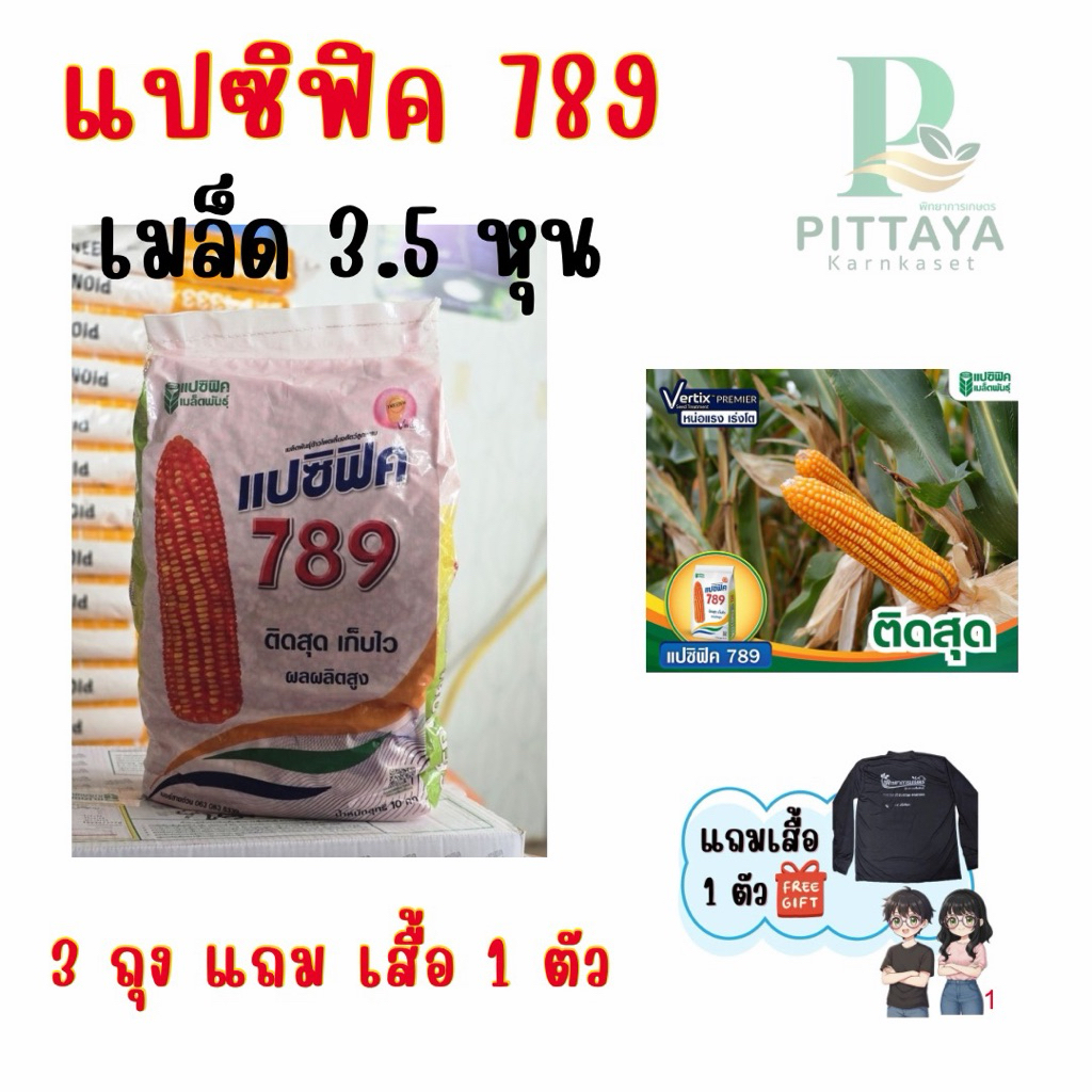 ข้าวโพดแปซิฟิค 789 เมล็ด 3.5 หุน ขนาด 10 กิโลกรัม ติดสุดปลายฝัก ผลผลิตต่อไร่สูง