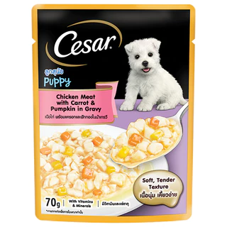 อาหารสุนัขเปียกชนิดซอง cesar ซีซาร์ ขนาด 70gX16 ยกกล่อง