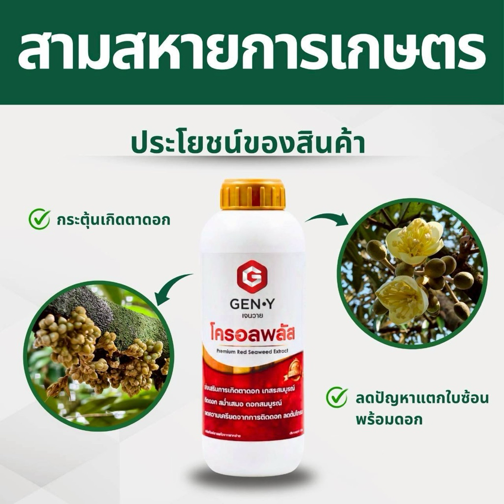 โครอลพลัส [สาหร่ายแดง] สูตรพรีเมี่ยมสำหรับพ่นเปิดตาดอกโดยเฉพาะ ขนาด1ลิตร
