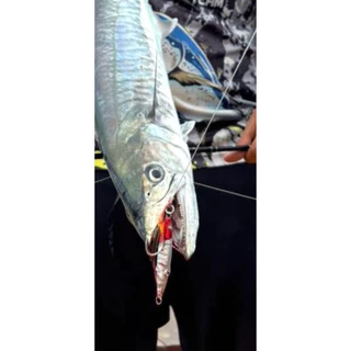 เหยื่อจิ๊ก ทรงปลาหมึก NAM Jigging Lures. มี4ขนาด10สี 20-30-40-60กรัม