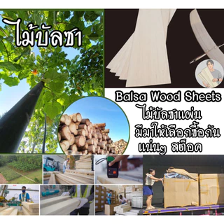 ไม้บัลซา Balsa wood ชนิดแผ่น ไม้บัลซ่า (ส่งจากประเทศไทย)