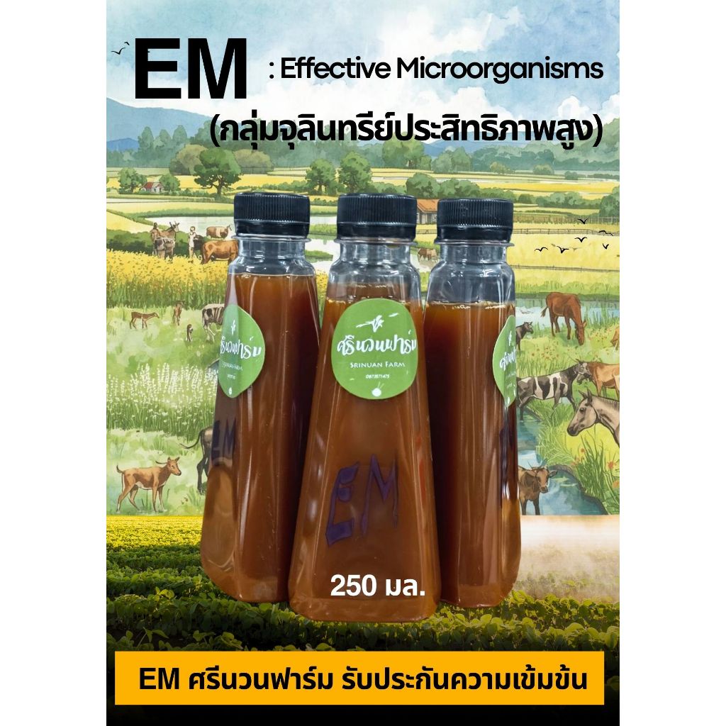 "EM หัวเชื้อจุลินทรีย์อีเอ็ม ชีวภาพ เข้มข้น 250cc | ปรับดินและน้ำเพื่อการเจริญเติบโต