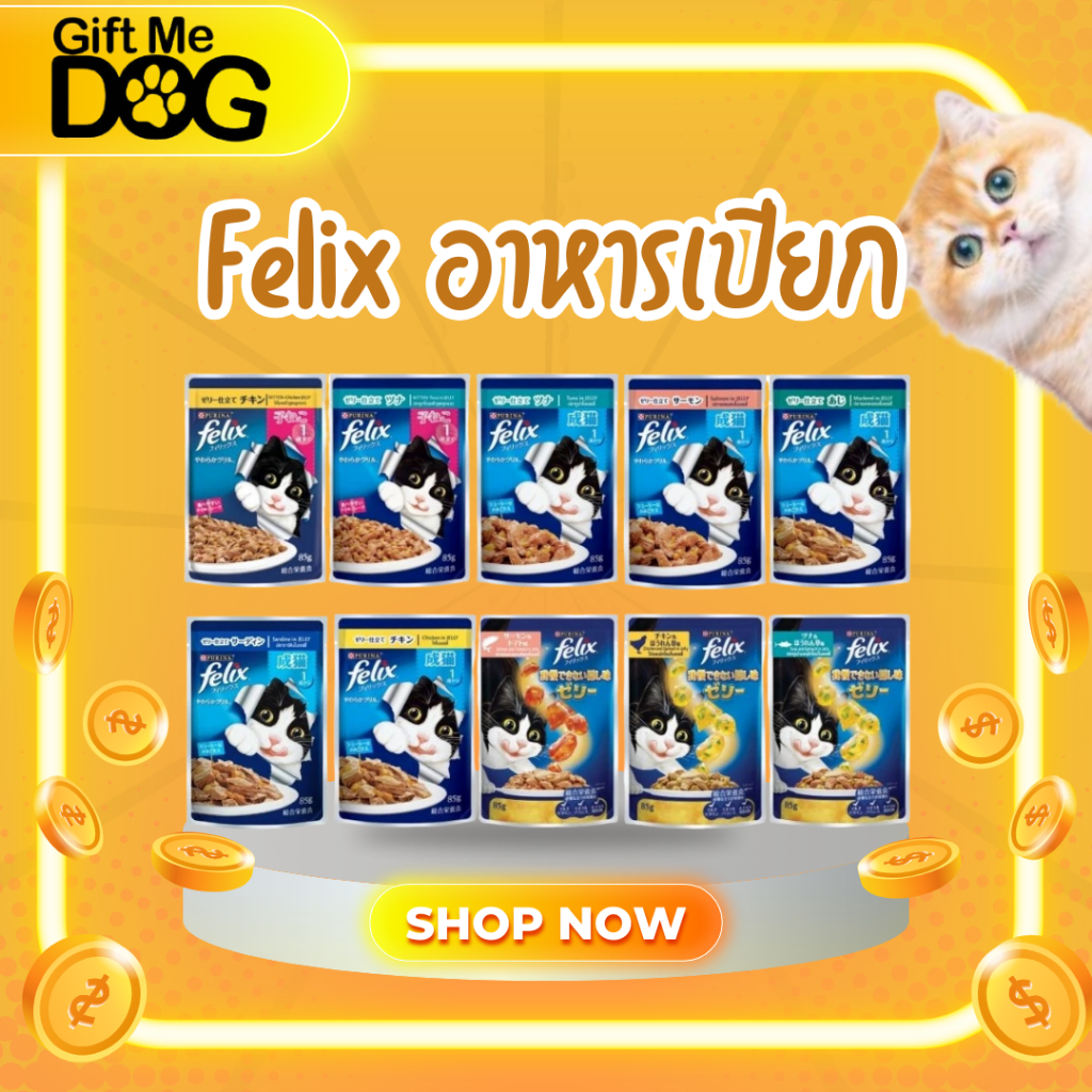 FELIX เฟลิกซ์ อาหารเปียกแมว ขนาด 85 กรัม / โหล