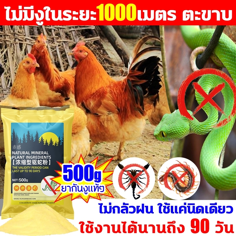 ผงกำมะถัน ผงไล่งูสูตรปรับปรุงใหม่ 500 กรัม ป้องกันงูในระยะ 1000 เมตร! ไล่งูและแมลงมีพิษต่างๆ - รูปที่ 3