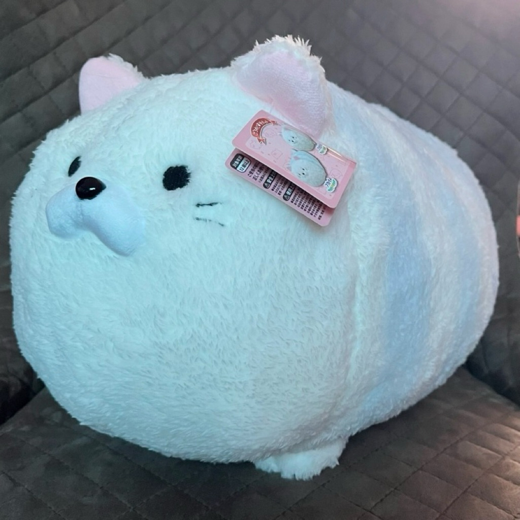 🇯🇵Goroneko Summit🐈 สีฟ้า  ☁️แมวน้อยน่ารักขนผ้าขนหนู นุ่มนิ่มนิ่ม  📮พร้อมส่ง