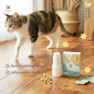 Washiワシ บาล์มบำรุงอุ้งเท้าสัตว์เลี้ยง Human Grade แบบลิปสติก อุ้งเท้าเนียนนุ่ม ไม่แตกกร้าน บำรุงเท้า สุนัข แมว