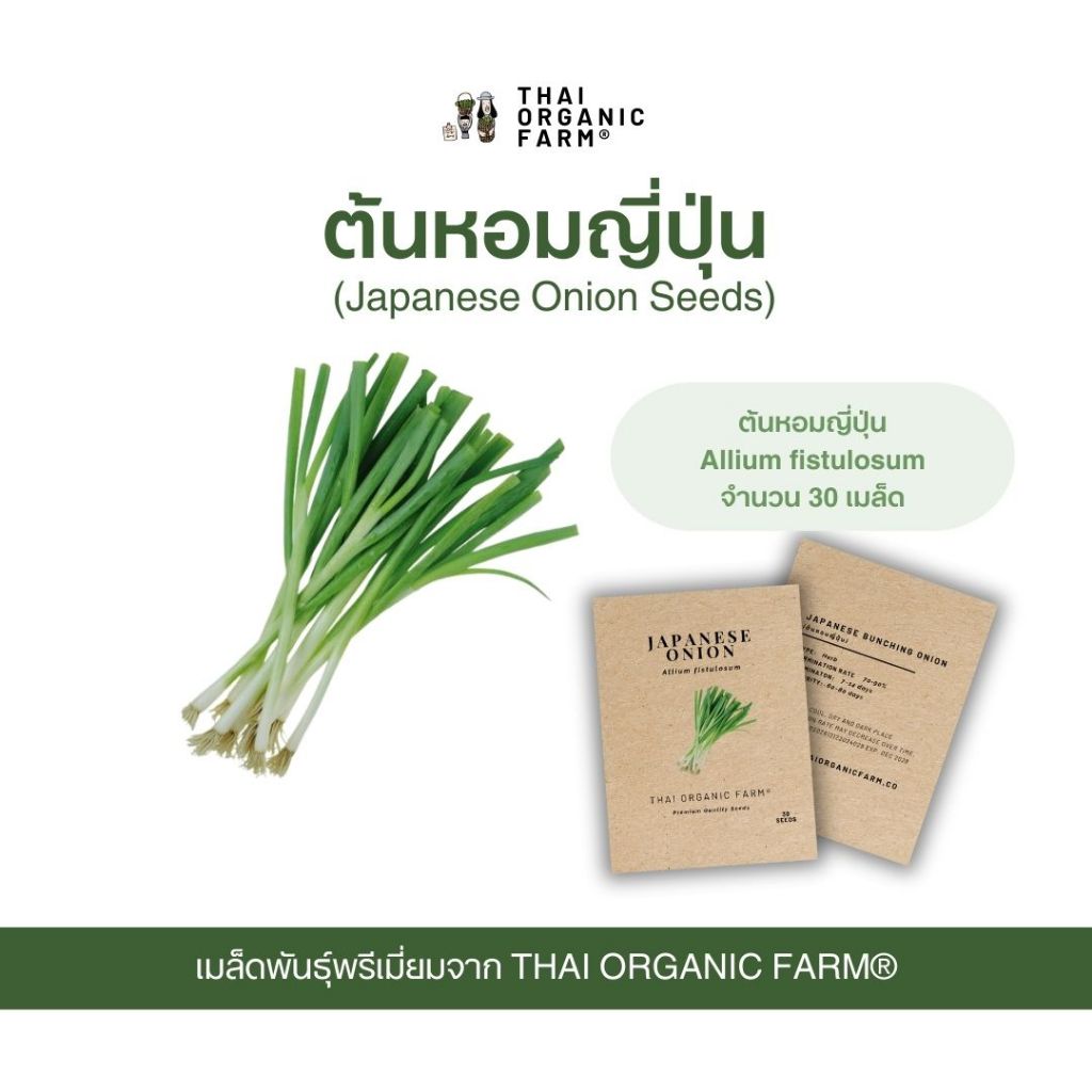 Premium Quality Seeds เมล็ดพันธุ์ ต้นหอมญี่ปุ่น พรีเมี่ยม THAI ORGANIC FARM®