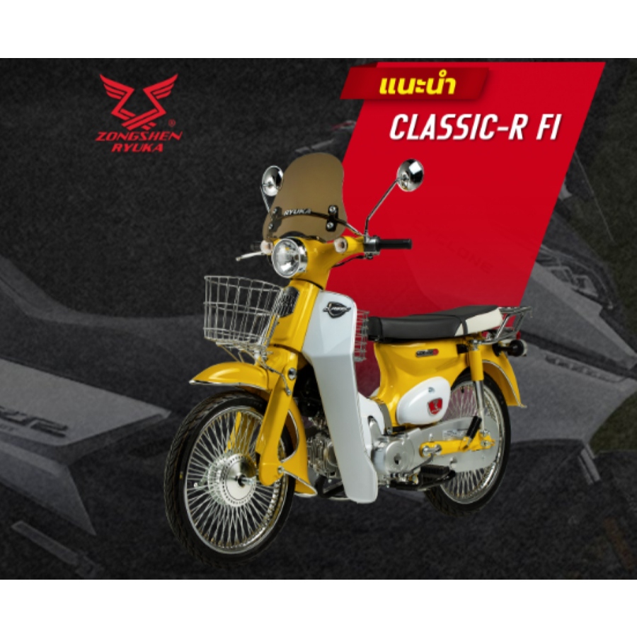 ขดลวด มัดไฟ CLASSIC-R-FI  ( 100054417-0009 ) - รูปที่ 6