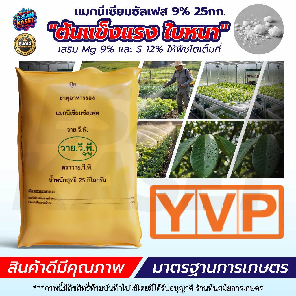 โพแทสเซียมไนเตรท13-0-46 แคลเซียมไนเตรท 15.5-0-0-26.5CaO ขนาด 25Kg. ใช้ผสมน้ำละลายได้ ราคา ถูกที่สุด ดีลบีเคเค แกลเลอรีภาพที่ 2