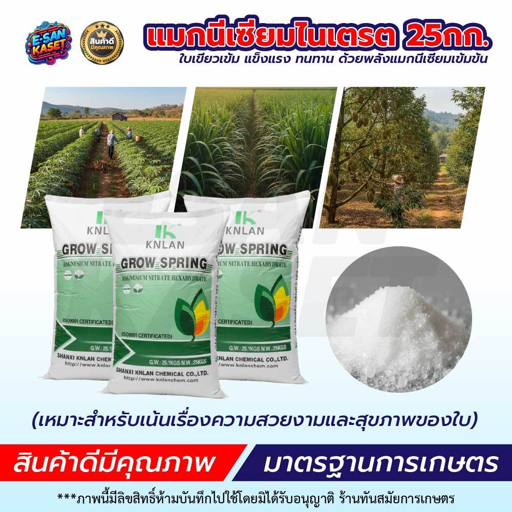 โพแทสเซียมไนเตรท13-0-46 แคลเซียมไนเตรท 15.5-0-0-26.5CaO ขนาด 25Kg. ใช้ผสมน้ำละลายได้ ราคา ถูกที่สุด ดีลบีเคเค แกลเลอรีภาพที่ 6