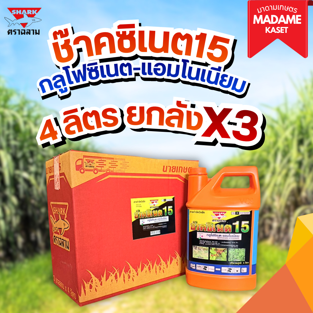 ยกลัง x3 แกลอน | ช๊าคซิเนต (กลูโฟซิเนต-แอมโมเนียม 15%) 4 ลิตร สารกำจัดวัชพืช หญ้าปากควาย ตายทุกหญ้า