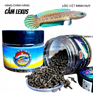 LEXUS PRO for Auranti อาหารปลาช่อนน้ำเย็น เร่งครีบ เร่งสี สู…