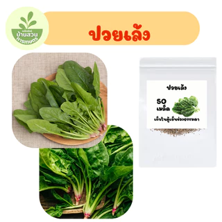 เมล็ดพันธุ์ปวยเล้ง จำนวน 50 เมล็ด