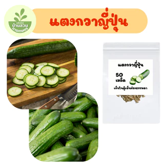 เมล็ดพันธุ์แตงกวาญี่ปุ่น จำนวน 50 เมล็ด