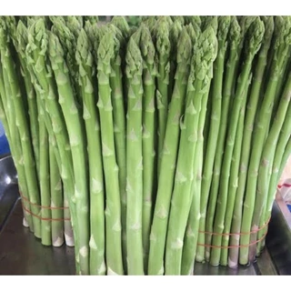 เมล็ดพันธุ์ หน่อไม้ฝรั่ง ชุดละ 5000 เมล็ด พันธุ์ดีงอกง่าย ️โตไว️พุ่มใหญ่ทานอร่อย