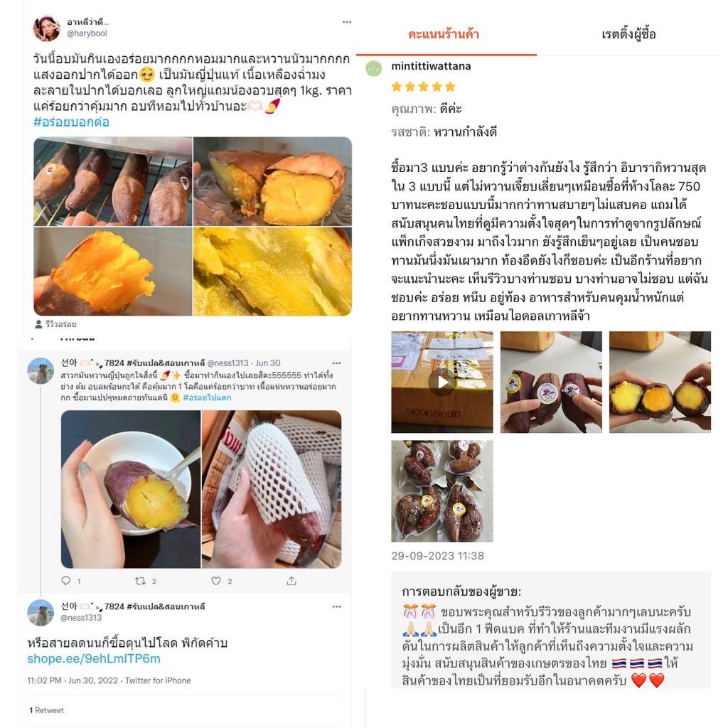 รูปภาพ 9