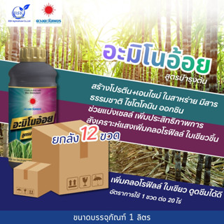(ยกลัง1L*12) อะมิโนอ้อย 1L (ดวงตะวันเพชร)