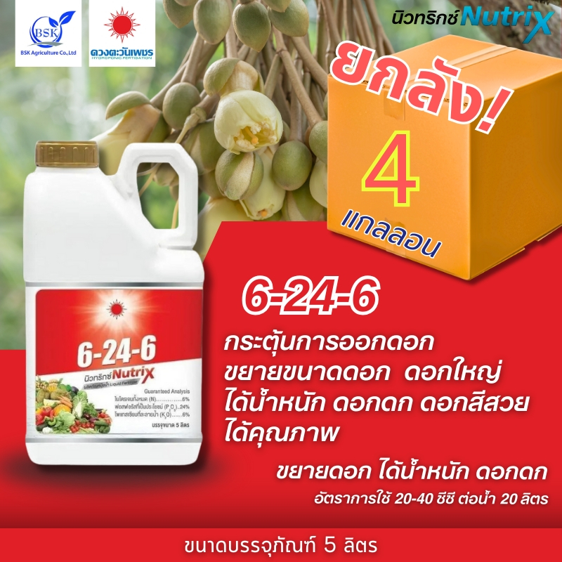 (ยกลัง5L*4) 6-24-6 แกลลอน 5 L (ดวงตะวันเพชร)