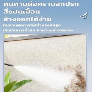 สีทาหินอ่อน สีทาผนัง ลวดลายเลียนแบบหินอ่อน กันน้ำ กันเปื้อน กันแดด ทาสีผนัง กันความชื้น สีทาบ้านภายนอก สีทาภายนอกกันน้ำ