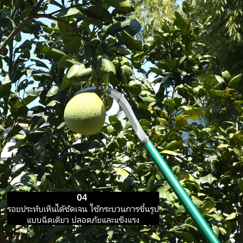 เคียวตัดหญ้าด้ามยาว เหล็กแมงกานีส thumbnail 9