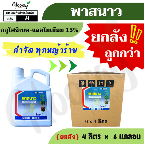 💥💥ยกลัง💥💥 พาสนาว 4 ลิตร x 6 แกลอน ( กลูโฟซิเนต 15% )กำจัดวัชพืช ฆ่าหญ้า หัวคันนา ร่องมัน ปรือ ธูป