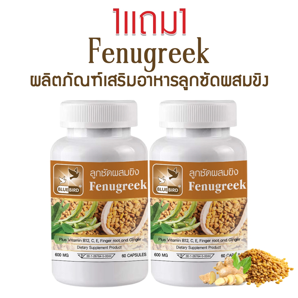 [1แถม1] ลูกซัดผสมขิง Fenugreek ตรา บลูเบิร์ด ขนาด 600 มิลลิกรัม 60 แคปซูล